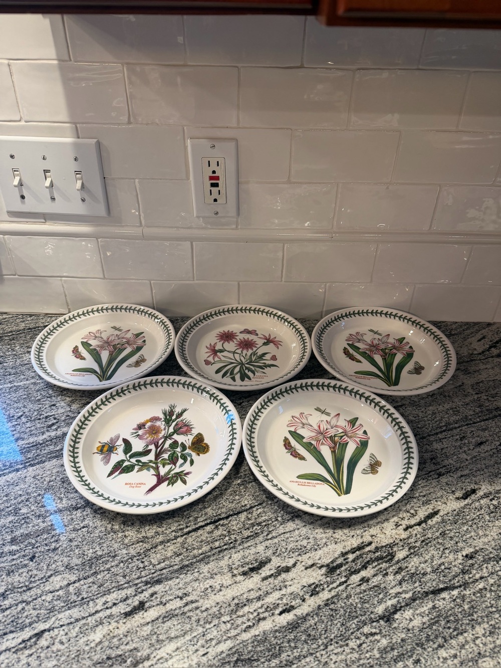 Set of 5 Portmeirion Salad Plates Botanic Garden 8 1/2”